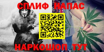 гидропоника Будённовск