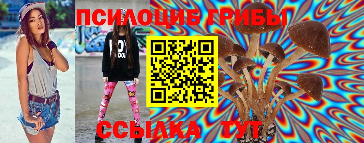 Псилоцибиновые грибы прущие грибы Мценск