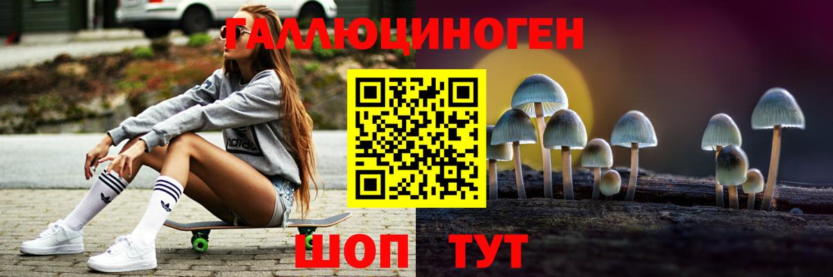 Мценск  Галлюциногенные грибы Cubensis  Вход с VPN 